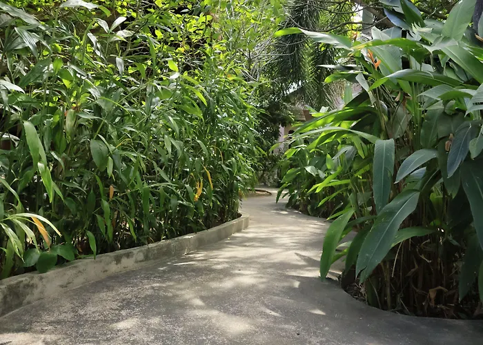 Bird Of Paradise Bungalows Kep