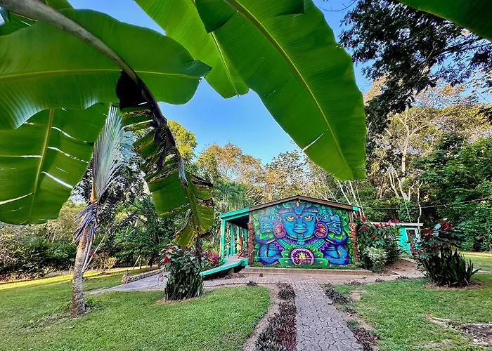 Bocawina Rainforest Resort Hopkins