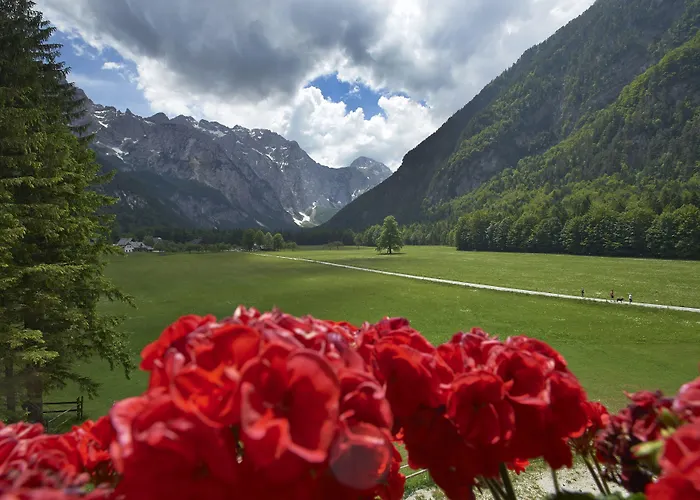 Hotel Plesnik Logar Valley Solcava