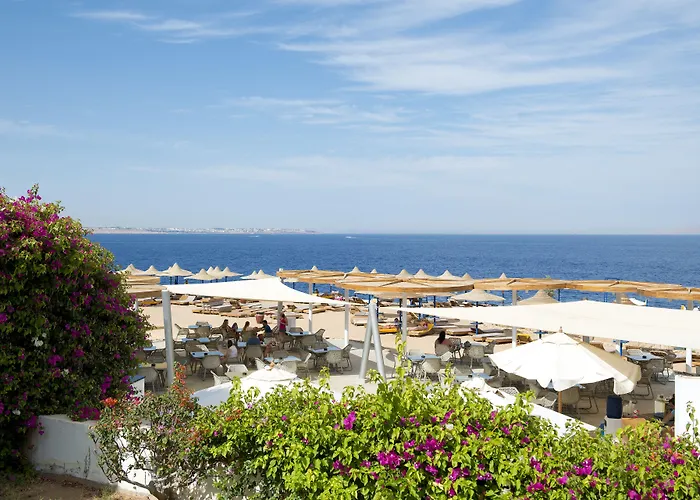 Amphoras Blu Ultra (Adults Only) Sharm el-Sheikh