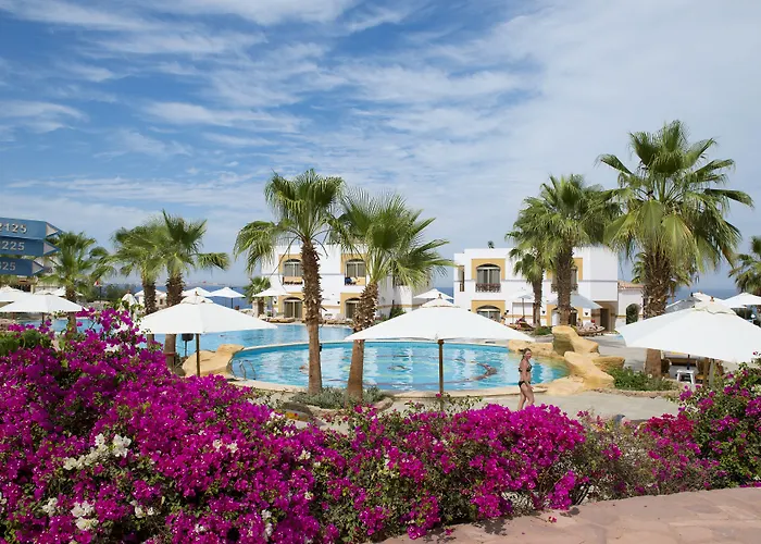Amphoras Blu Ultra (Adults Only) Şarm El-Şeyh