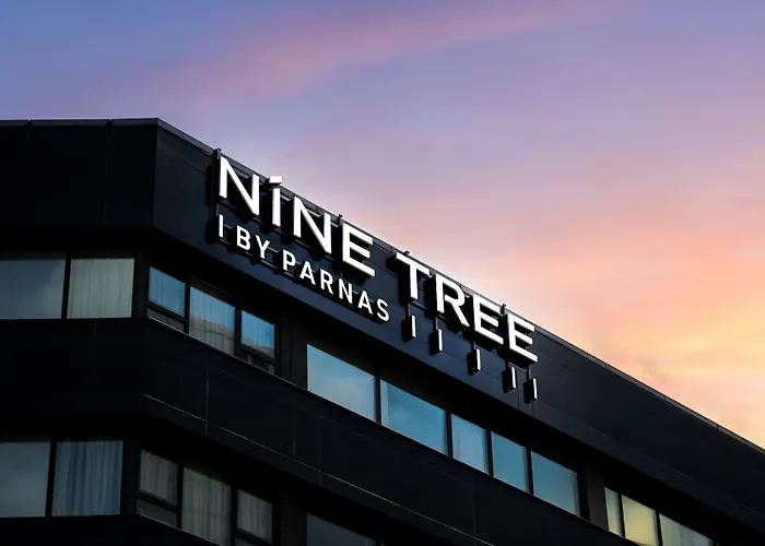 Nine Tree By Parnas Seoul Myeongdong 1 Hotel