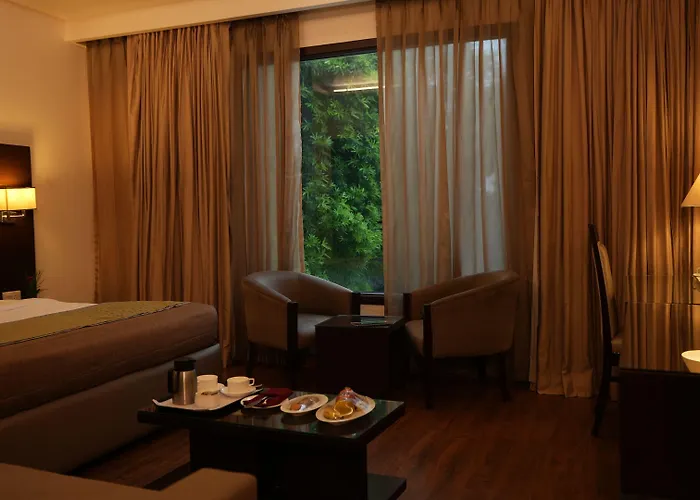 Africa Avenue Gk - 1 Hotel New Delhi