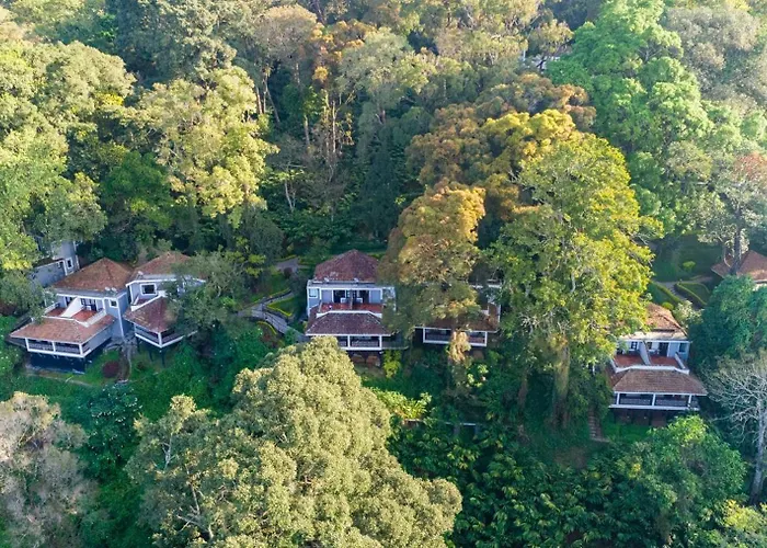 The Tall Trees Munnar