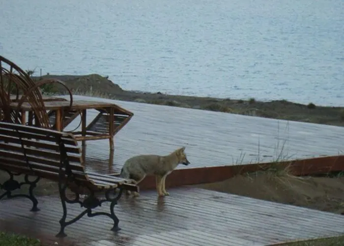 Hotel Las Dunas El Calafate