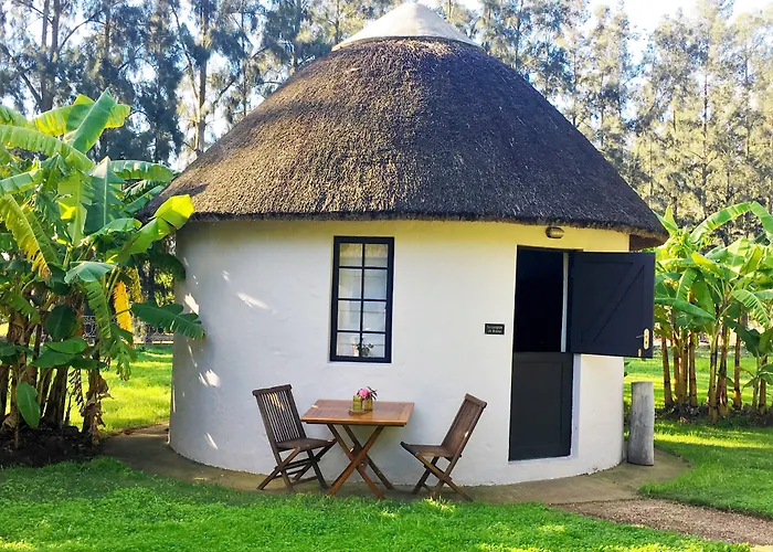 Addo African Home