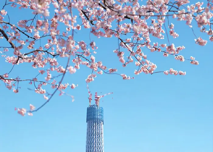 Kkr Hotel Tokyo