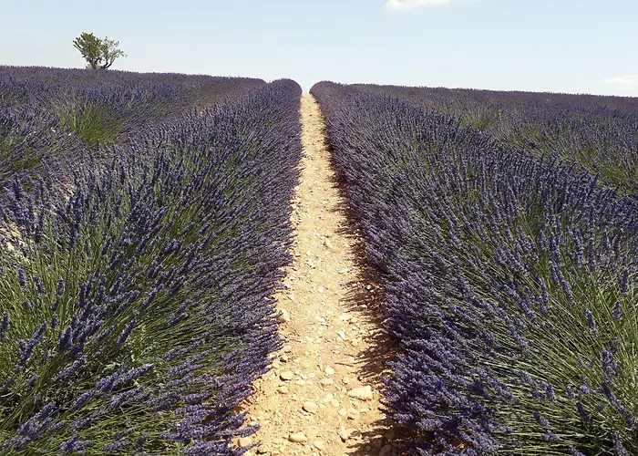 Le Mas Du Colombier Cadenet