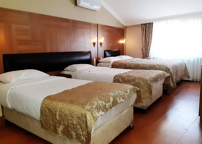 Elasophia Hotel Istanbul