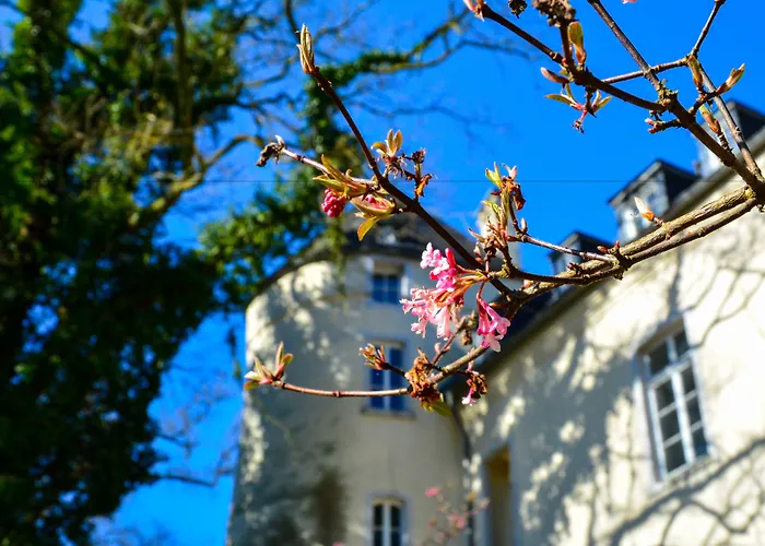 Hotel Burg Boetzelaer Kalkar