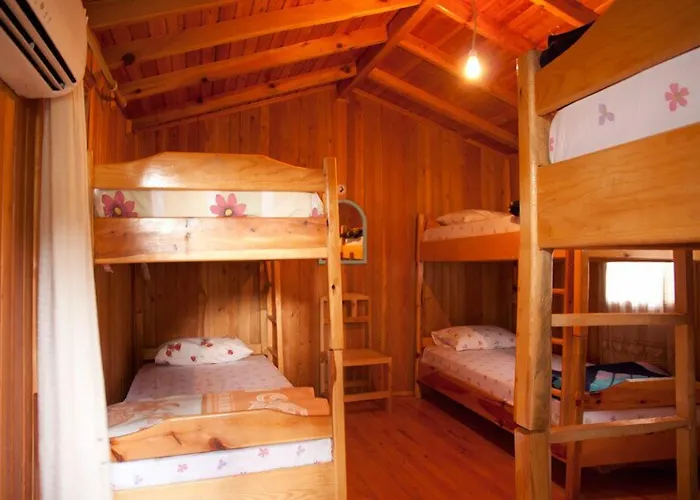 Bayrams Tree Houses Olimpos