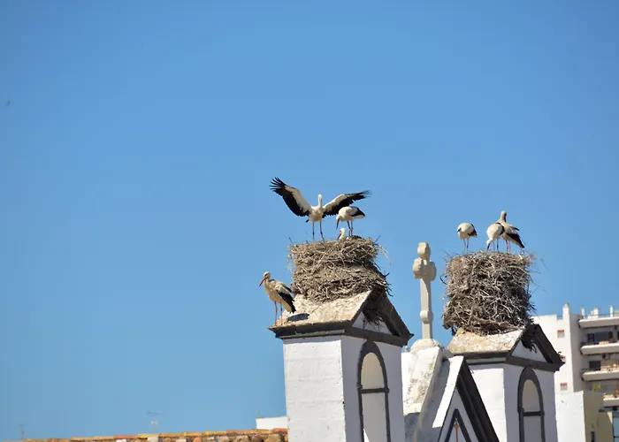 Hotel Sol Algarve By Kavia Faro