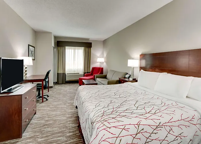 Best Western Plus University Inn & Suites Wichita Falls