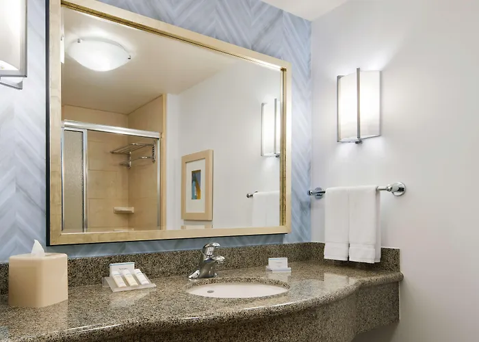 Hilton Garden Inn Dallas Richardson