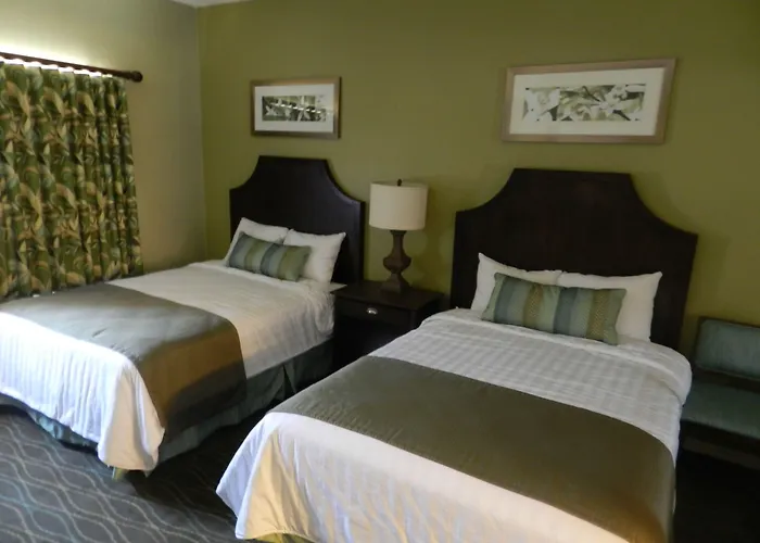 Alhambra Villas By Coolvacay Kissimmee