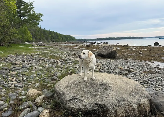 Eden Village Motel And Cottages Bar Harbor