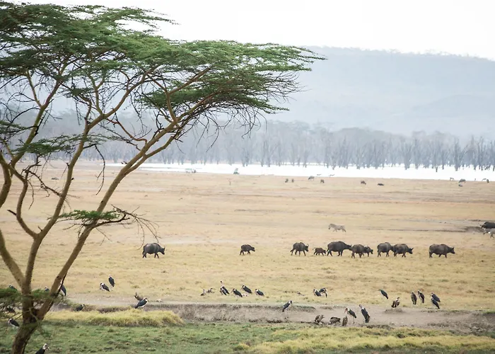 Sarova Lion Hill Game Lodge Nakuru