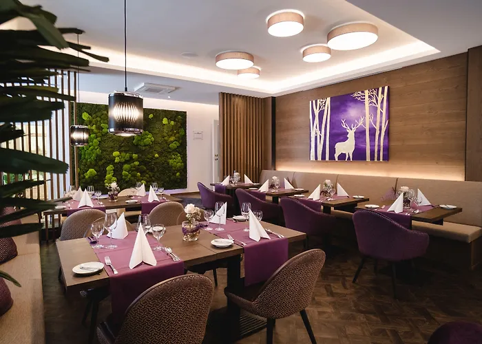 Hotel Merkur Baden-Baden