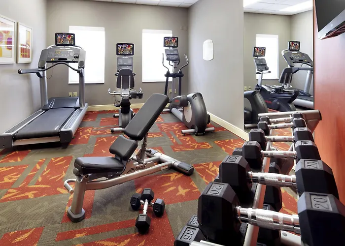 Residence Inn Tampa Oldsmar