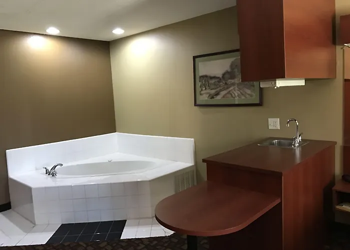 Microtel Inn & Suites By Wyndham Lithonia/Stone Mountain