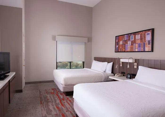 Hilton Garden Inn Atlanta Airport/Millenium Center College Park