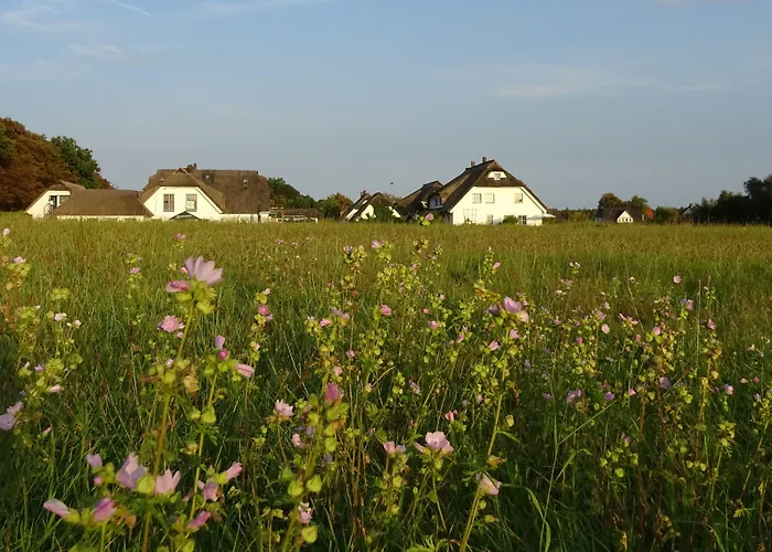 Wreecher Hof Putbus