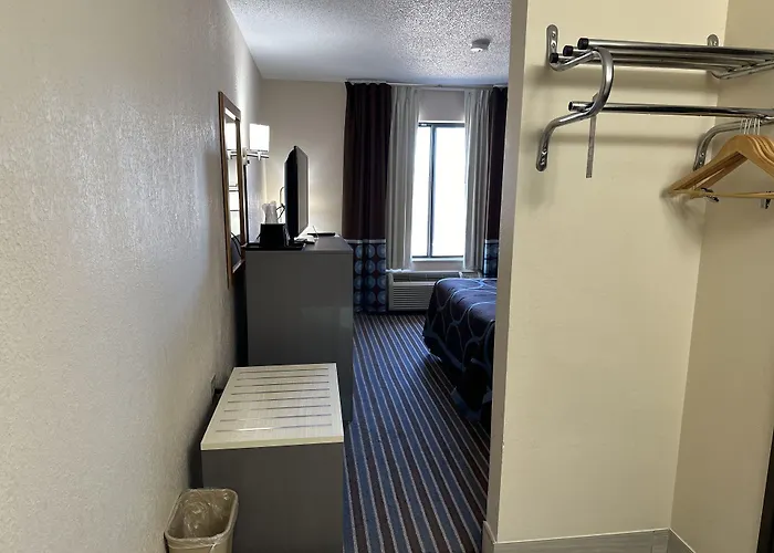 Super 8 By Wyndham Columbia Clark Lane Hotel