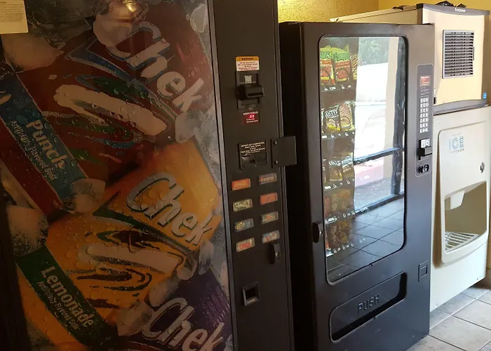 Econo Lodge Busch Gardens Tampa