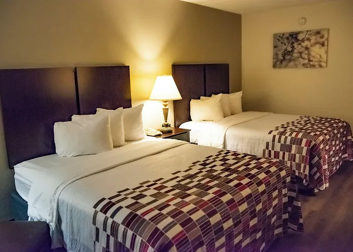 Red Roof Inn Tallahassee East Saint Peter