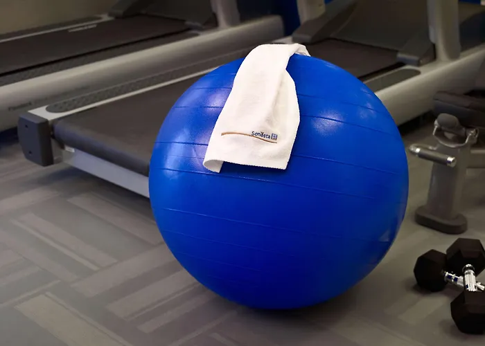 Sonesta Simply Suites Cleveland Airport Middleburg Heights