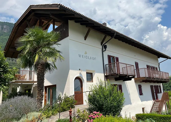 Weingut Weidlhof - Suite & Breakfast - Vacation For Wine Lovers Kaltern