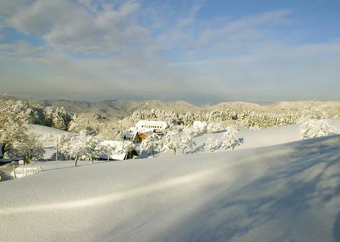 Gasthof zum Breitenberg Bad Peterstal-Griesbach