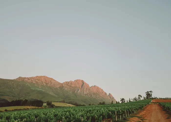 Muratie Wine Estate Stellenbosch