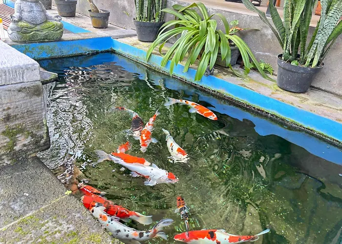 Dewa House Bisma Hotel Ubud