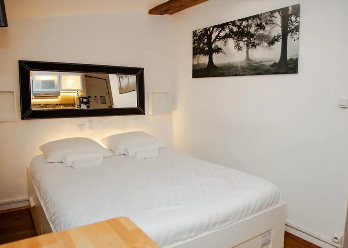 Bed and breakfast La Loge Du Vieux Lyon