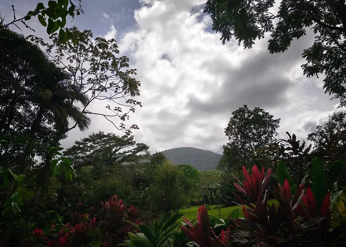 Yellow Tree Suites La Fortuna