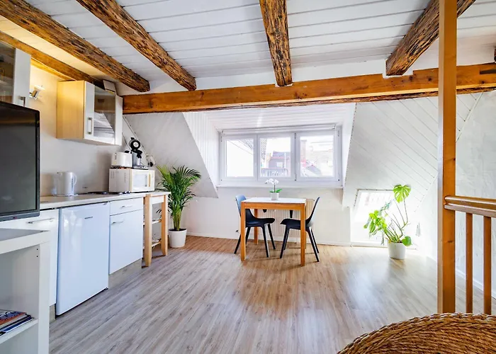 Stayinn Apartments City Center Freiburg im Breisgau