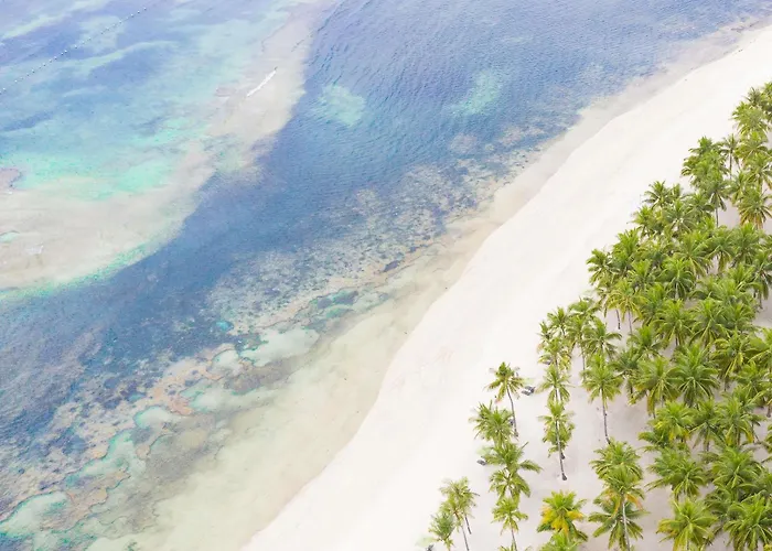 South Palms Resort And Spa Panglao - Mgallery Collection