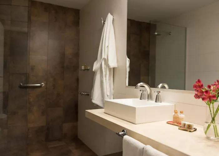 Portal Plaza Suites Mendoza