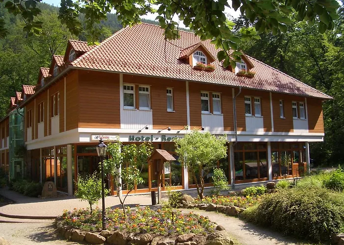 Kurpark Hotel Im Ilsetal Ilsenburg 