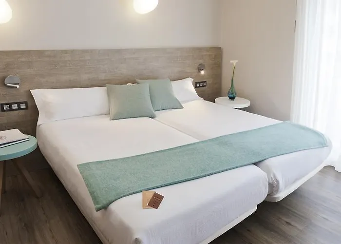 Hotel Dos Rios Central Aínsa