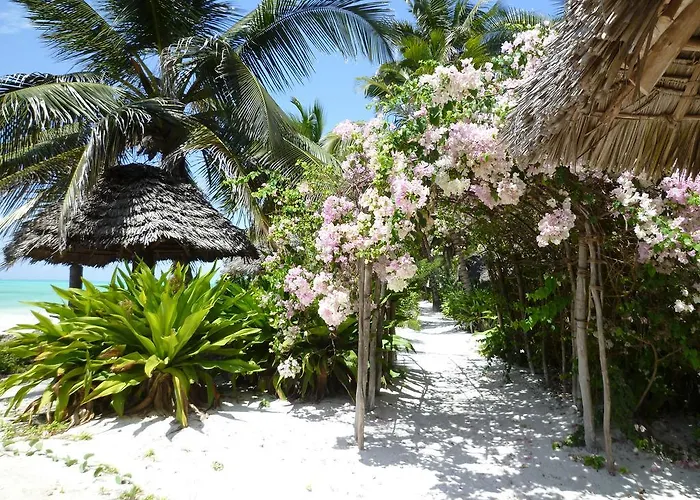 Paradise Beach Bungalows Paje