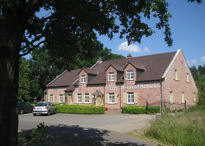 Bed&Breakfast De Kleine Magnolia Tessenderlo