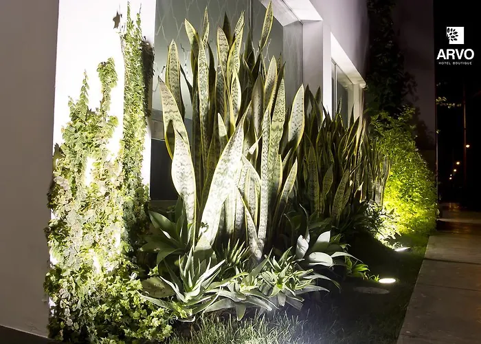Arvo Hotel Boutique Trujillo