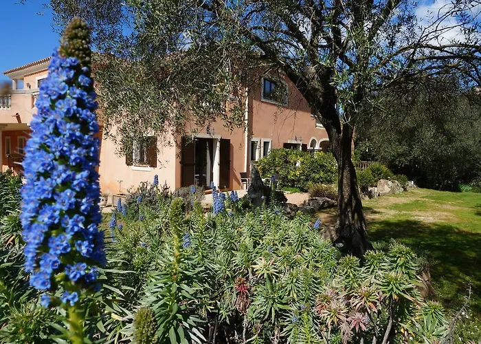 Chambre d'Hôtes Domaine Pero Longo Sartène
