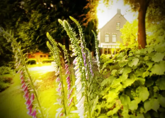 Hotel Beukenhorst Wittem