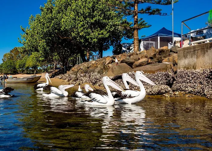 Reflections Massy Greene - Holiday Park Brunswick Heads