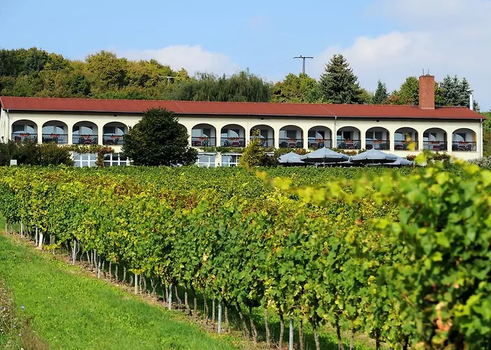 Hotel Rebschule Freyburg 