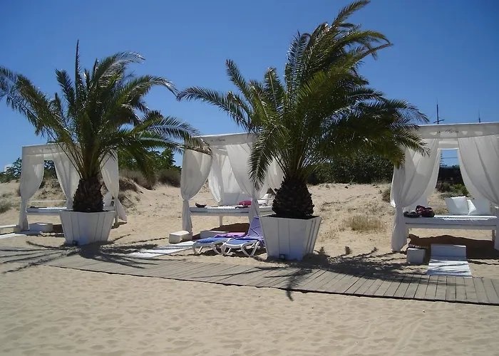 Palm Residence Deluxe Studios Sunny Beach