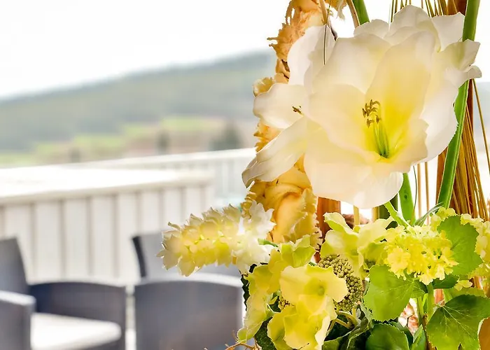 Hotel am Brenner Tauberbischofsheim